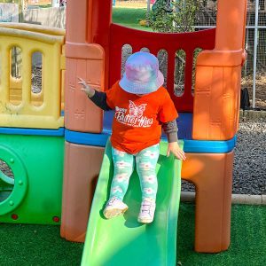 Busy-Butterflies-sq-4