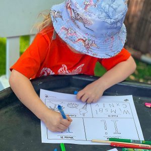 Busy-Butterflies-sq-5