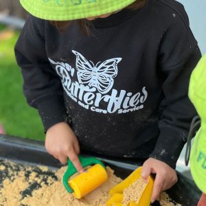 Busy-Butterflies-sq-6